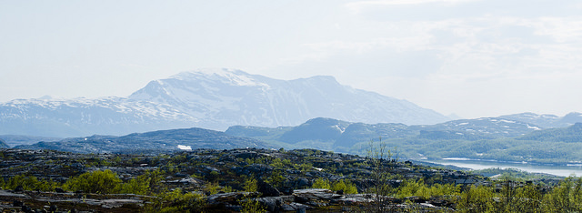 Skanderna